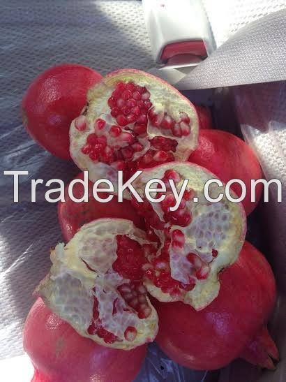 Fresh pomegranate suppliers , Egyptian fresh pomegranate , fresh pomegranate farms 