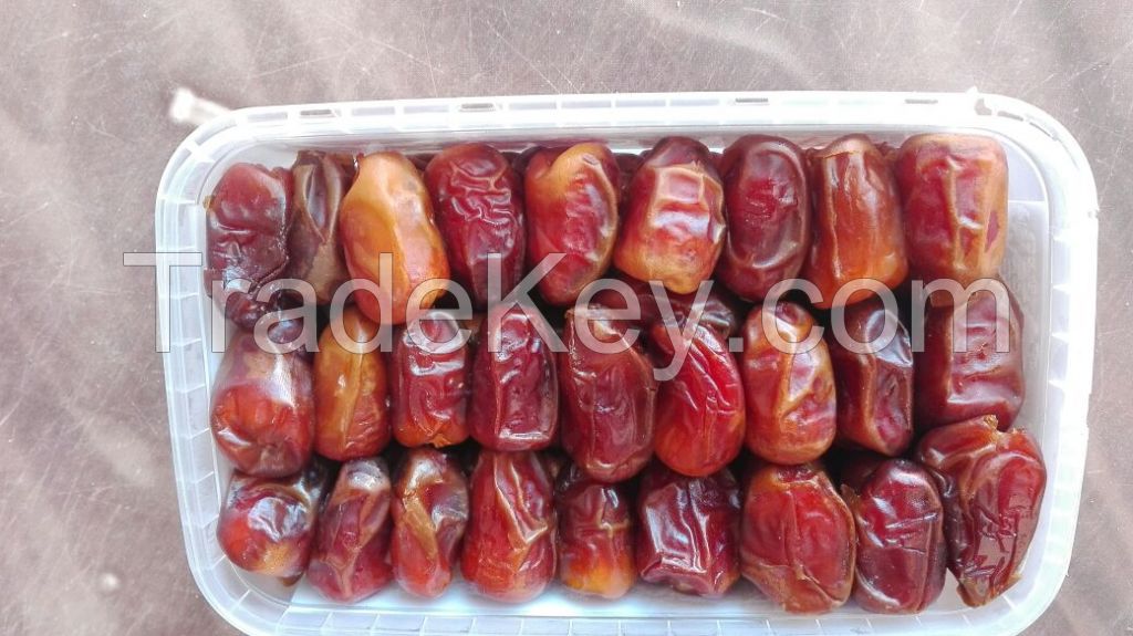 fresh dates suppliers egypt , egyptian fresh dates