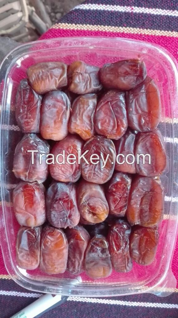 fresh dates suppliers egypt , egyptian fresh dates