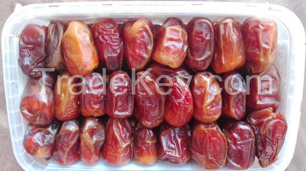 fresh dates suppliers egypt , egyptian fresh dates