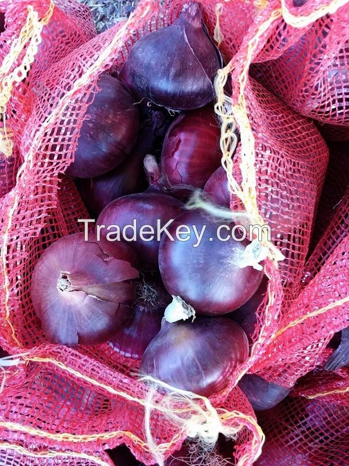Fresh Red onion , Egyptian Red onion suppliers