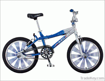 20" Freestyle BMX