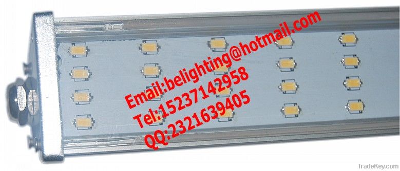 LED Cold Storage Light