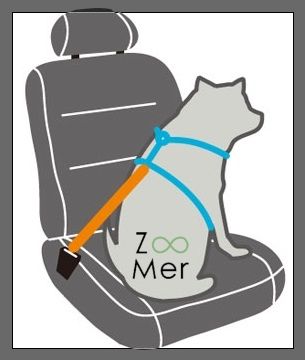 Car Safety Belts for Dogs