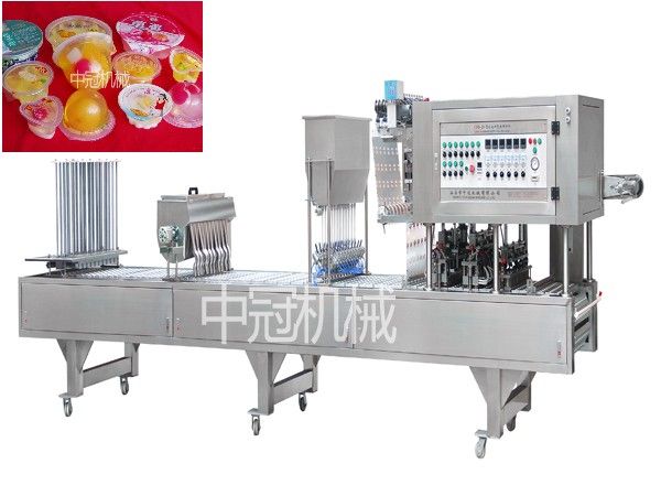 Fully Automatic Filling&Sealing Machine