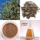 water soluble Olive leaf extract&Oleuropein