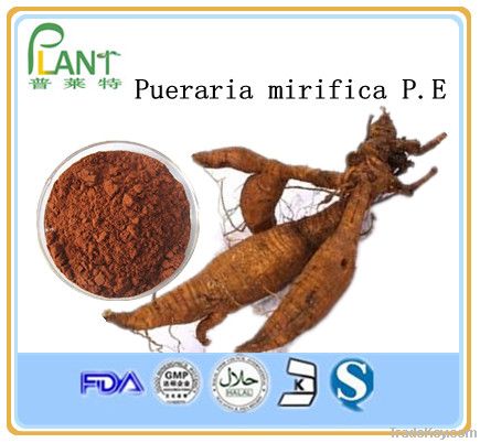 Pueraria mirifica extract-10%-98% puerarin