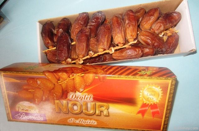 Deglet Nour Date