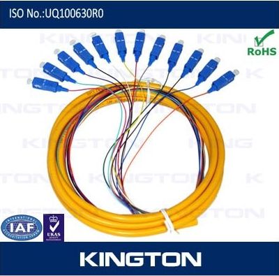 Fiber Optic 12 Channel SC Multi Fan-out Patch Cord Assembly