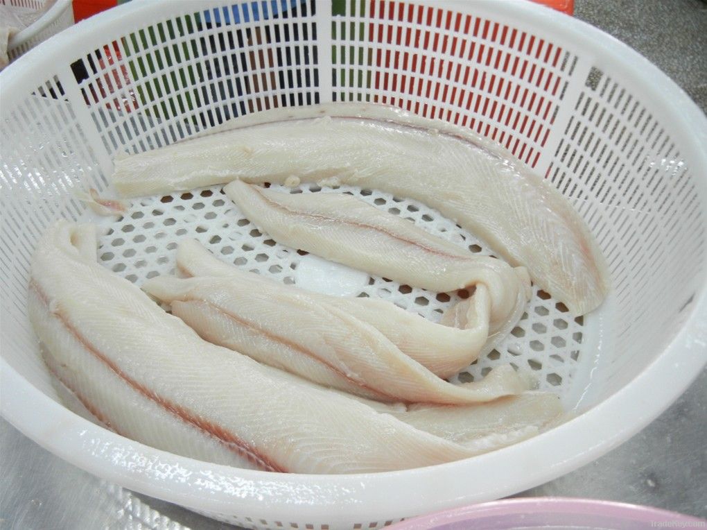 Frozen Shark Fillet