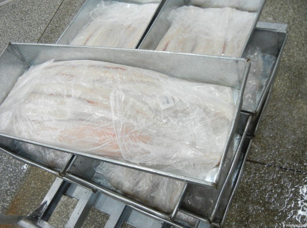 Frozen Shark Fillet