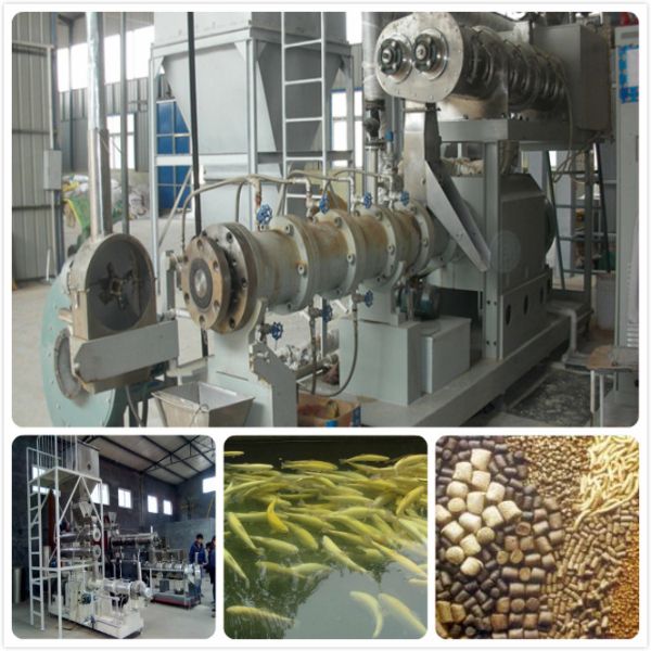 Floating &amp;amp; sinking fish feed production line