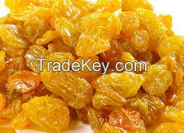 Golden Raisins for sale