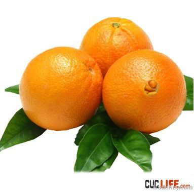 Newhall Navel Orange