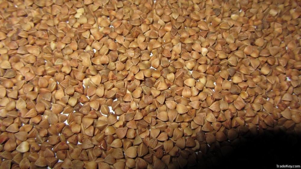 roasted buckwheat in Mongolia