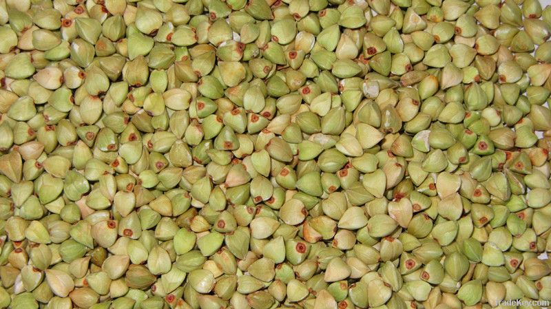buckwheat kernel in China