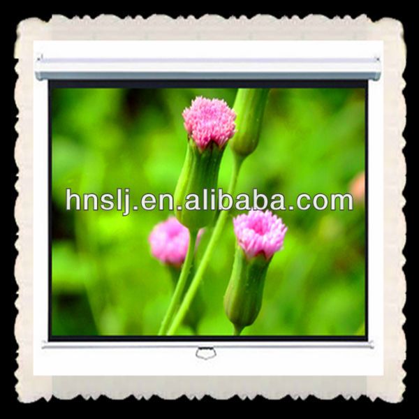 Cheapest manual projection screen