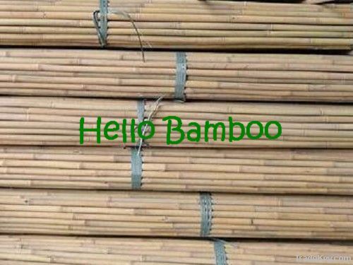 Tonkin bamboo pole