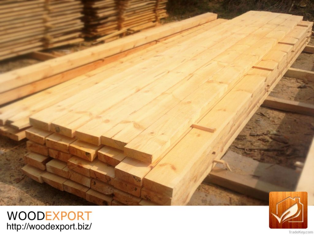 Yellow Pine from Ukraine for INDIA