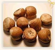 Betel Nut / Areca Nut, Supari