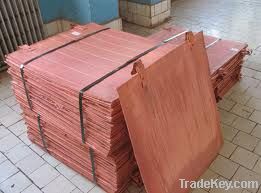 Copper Cathode