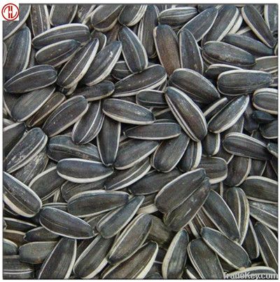 Sunflower Seeds