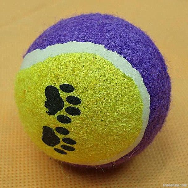 Pet Playing Tennis Ball