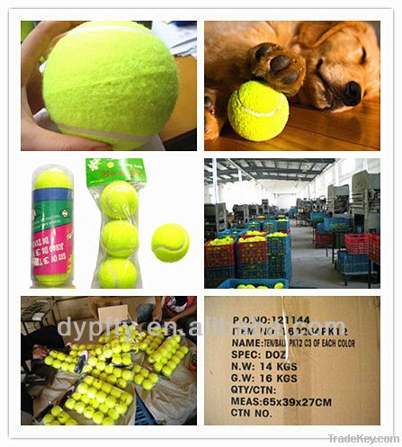 Colorful Tennis Ball  Pet Tennis Ball