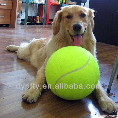 Pet Tennis Ball Products