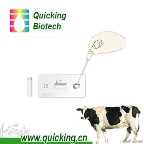 Bovine Brucella Ab Test