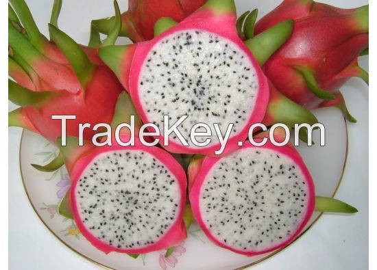 Green Dragon Fruit