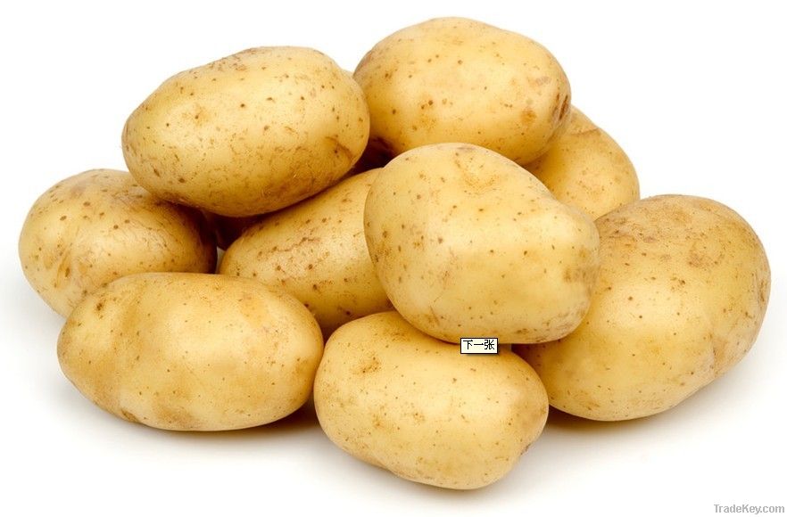 Green Food Fresh Potatoes
