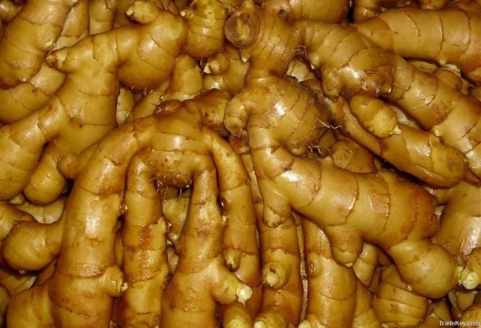 export chinese cheap fresh ginger