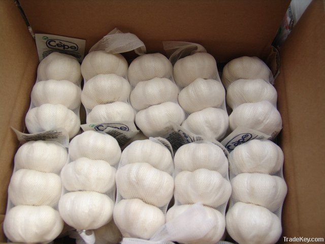 Chinese Garlic Wholesale