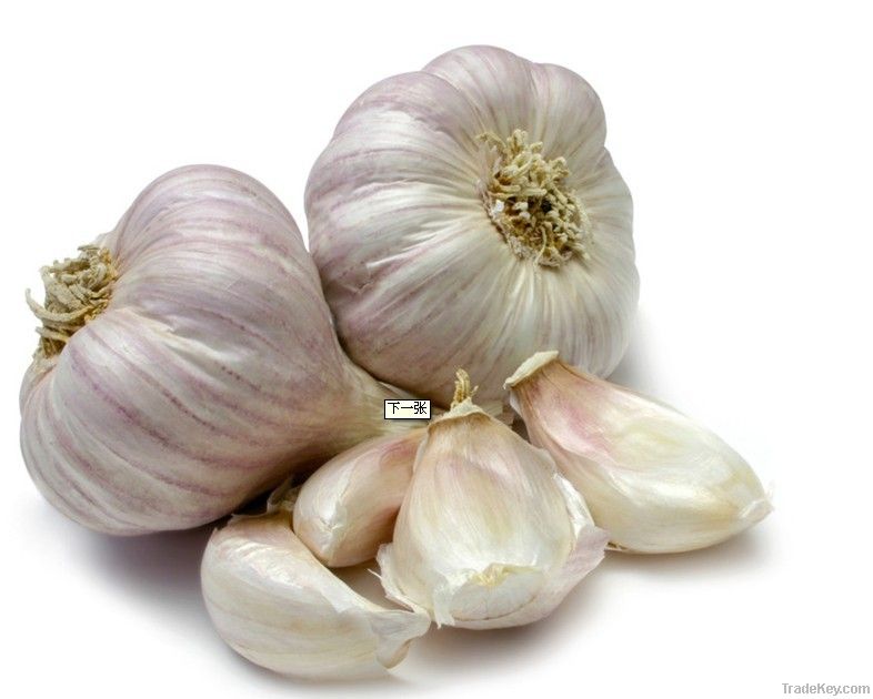 Chinese Garlic Wholesale