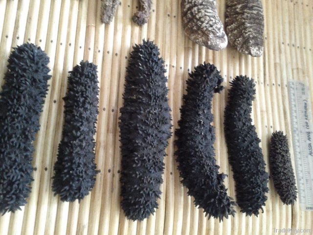 Dried sea cucumber