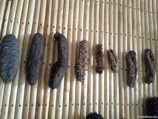 Dried sea cucumber