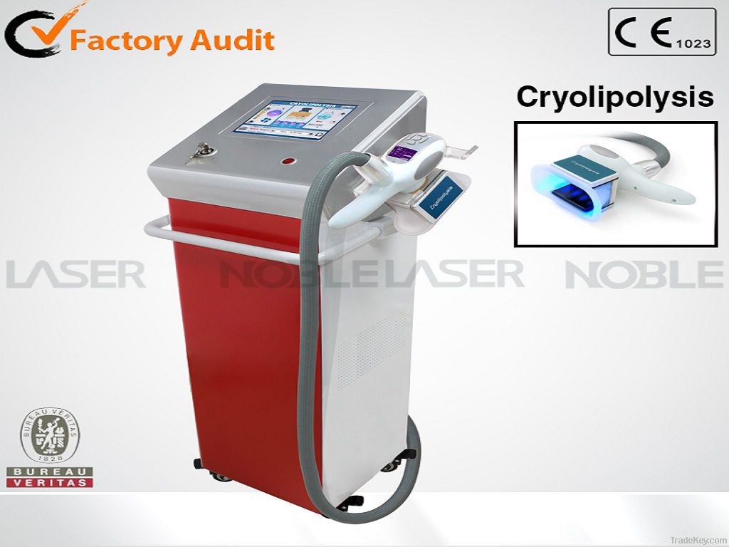 Latest technology cryotherapy cool freezing weight loss beauty equipme
