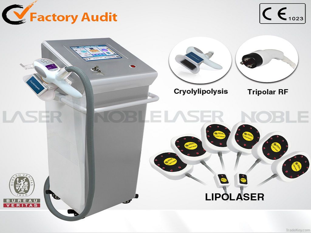 Latest technology cryotherapy cool freezing weight loss beauty equipme