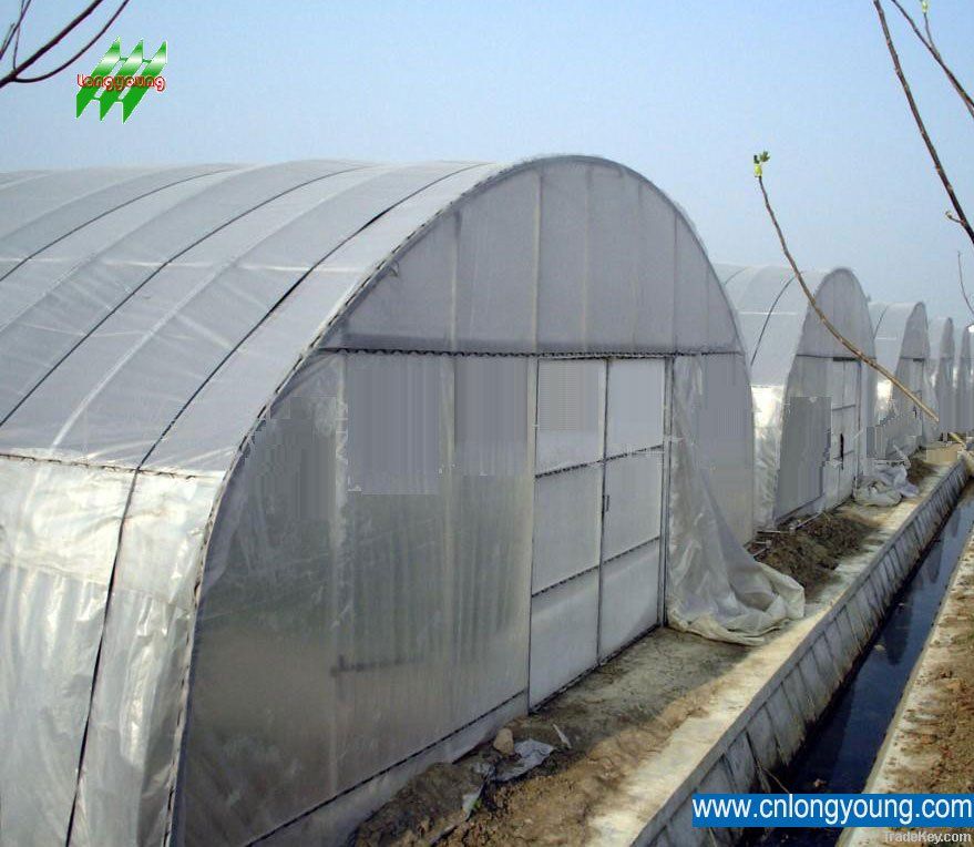 Economic Tunnel Greenhouse