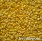 corn like maize