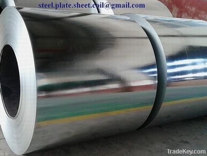 galvanized steel coil/ galvanized coil/ HDGI coil