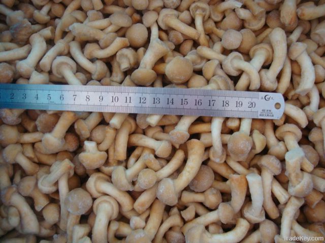 Frozen nameko mushroom