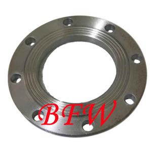 High quality forge steel flange
