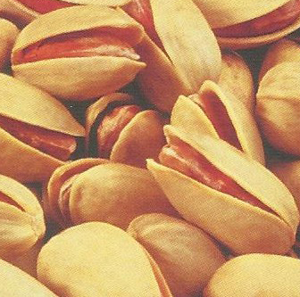 Best Pistachio Nuts