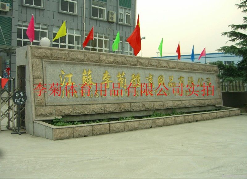 Rainbow Olympic table tennis table for international match