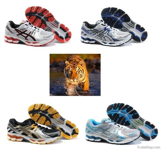 Asics Gel Kayano 17 running shoes