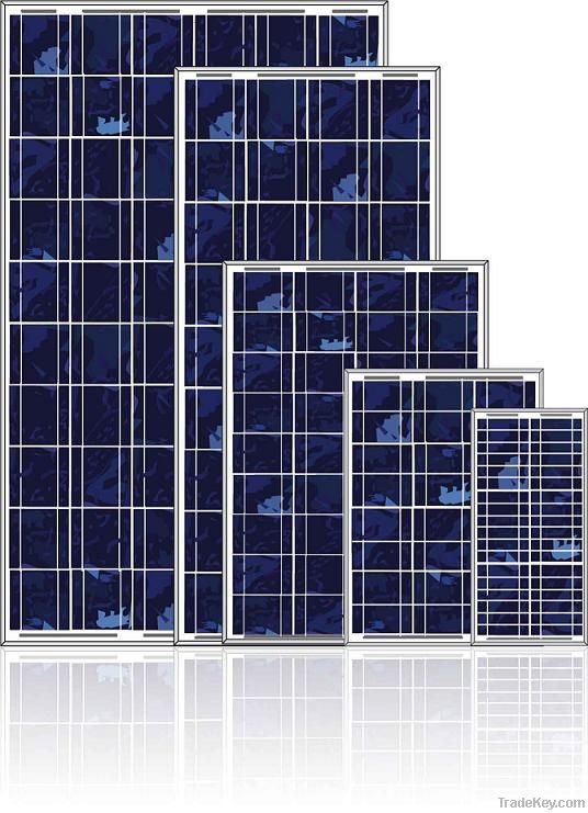 5W - 120W 156 Series Polycrystalline Solar Module