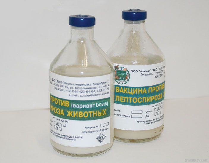 POLYVALENT VACCINE AGAINST LEPTOSPIROSIS OF ANIMALS