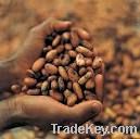 Export Coffee Beans | Coffee Bean Importer | Coffee Beans Buyer | Buy Coffee Beans | Coffee Bean Wholesaler | Coffee Bean Manufacturer | Best Coffee Bean Exporter | Low Price Coffee Beans | Best Quality Coffee Bean | Coffee Bean Supplier | Sell Coffee Bea